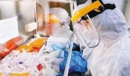 病毒实验室最新疫情爆料,病毒实验室最新爆料揭示病毒变异与传播趋势