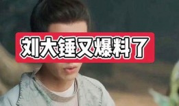 刘大锤微博最新爆料,揭秘娱乐圈惊天秘密！