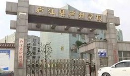 怀化学院爆料事件视频最新,真相与争议交织的校园风云